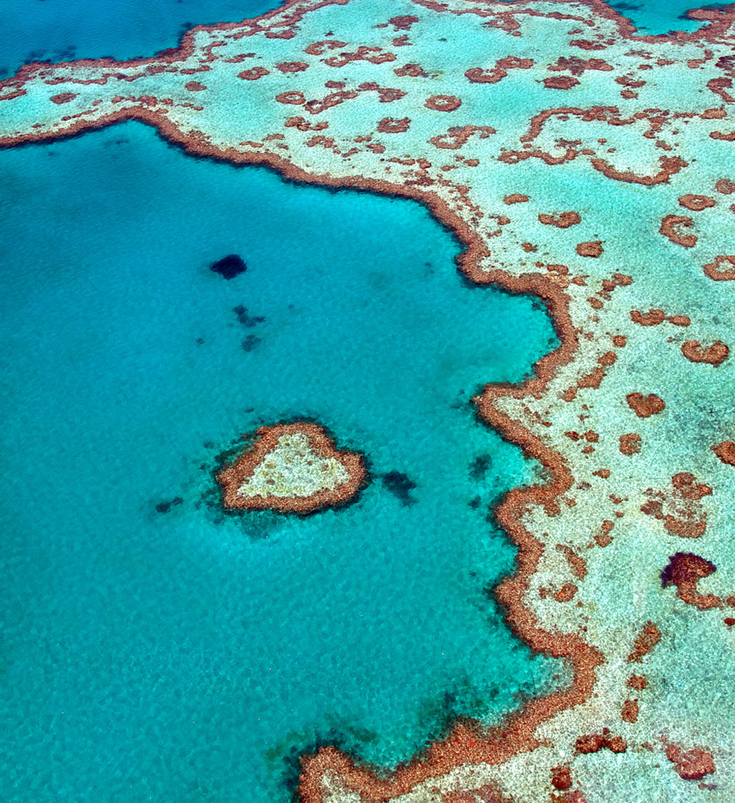 Great Barrier Reef Initiative | Charter Yachts Australia